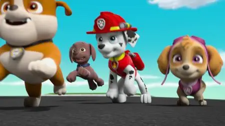 Paw Patrol S05E09