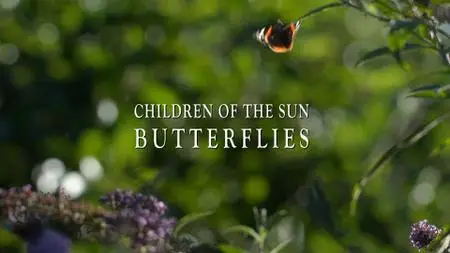 Children of the Sun - Wild Bees And Butterflies (2017)