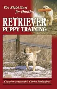 Retriever Puppy Training: The Right Start for Hunting