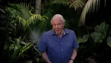 Micro Monsters with David Attenborough (2013)