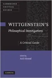 Wittgenstein's Philosophical Investigations: A Critical Guide