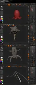 Udemy – Sculpting CG Creatures in ZBrush: Elder Thing