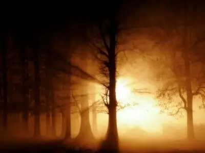 Widescreen wallpapers HQ