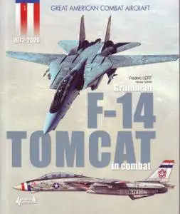Grumman F-14 Tomcat in combat (Great American Combat Aircraft) (Repost)