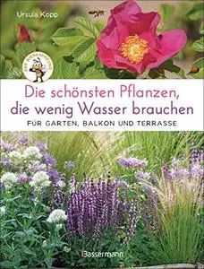 Die schönsten Pflanzen, die wenig Wasser brauchen für Garten, Balkon und Terrasse