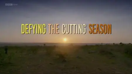 BBC - Storyville: Defying the Cutting Season (2019)