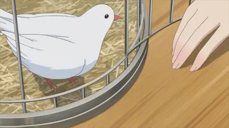 Tejina Senpai (2019)