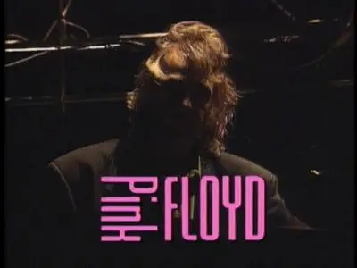 Pink Floyd & Candy Dulfer - Shine On You Crazy Diamond (Knebworth 1990)