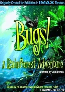 Bugs! 2D A Rainforest Adventure - by Mike Slee (2003)