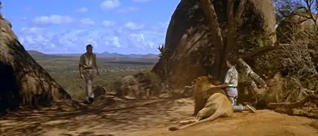 The Lion (1962)