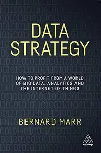 Data Strategy: How to Profit from a World of Big Data, Analytics and the Internet of Things