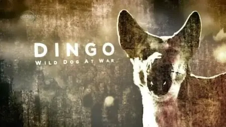 UKTV - Dingo: Wild Dogs at War (2012)