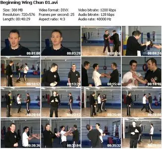 Alan Gibson - Beginning Wing Chun 