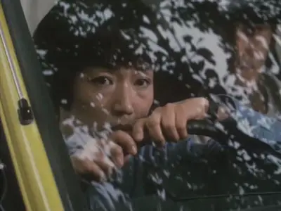 A Taxing Woman (1987)