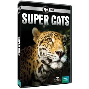 PBS NATURE - Super Cats: Science and Secrets (2018)