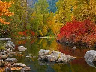 Wallpapers - Golden autumn