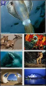 100 Amazing National Geographic Wallpapers [Set 30]