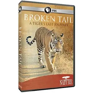 Broken Tail - A Tiger's Last Journey (2011)