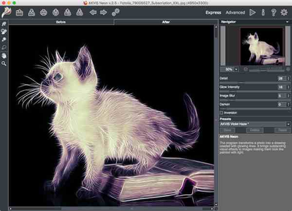 AKVIS Neon 2.5.0 (Stand-Alone & Plugin for Photoshop)