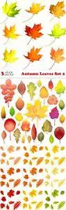 Vectors - Autumn Leaves Set 2