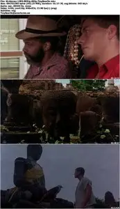 Kickboxer (1989) [Reuploaded]