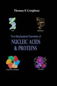 The Biophysical Chemistry of Nucleic Acids and Proteins