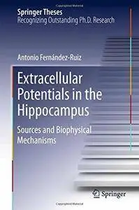 Extracellular Potentials in the Hippocampus: Sources and Biophysical Mechanisms (Repost)