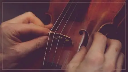 Beginner Violin 101: Care, Maintenance, and the Right Gear