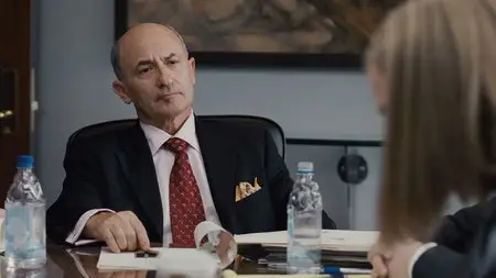 New in Town (2009)