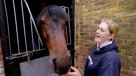 A Stable Life: Series 1 (2009)