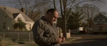 Romance & Cigarettes (2005)