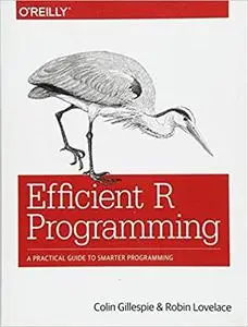 Efficient R Programming: A Practical Guide to Smarter Programming