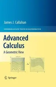 Advanced Calculus: A Geometric View