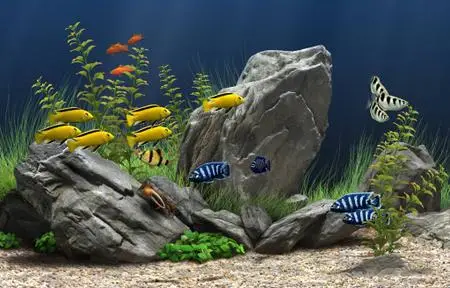 Dream Aquarium ver.1.700 [ FULL ]