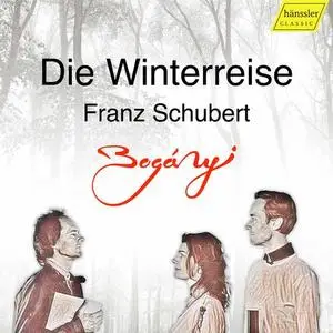 Gergely Boganyi, Bence Boganyi, Clara Dent-Bóganyi - Schubert: Winterreise, Op. 89, D. 911 (Arr. for Oboe, Bassoon & Piano)