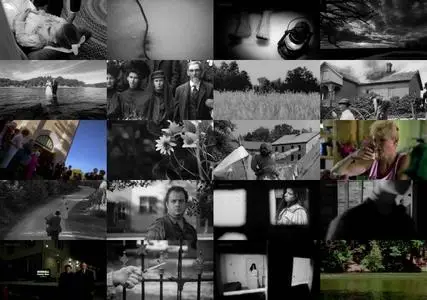 Wisconsin Death Trip (1999)