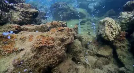(Arte) Quand les océans deviennent acides (2014)