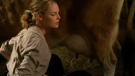Love Comes Softly (2003)
