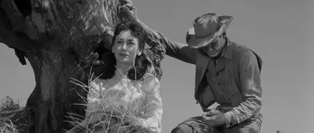Showdown at Boot Hill (1958)