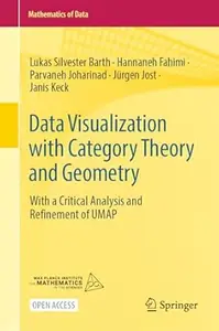 Data Visualization with Category Theory and Geometry