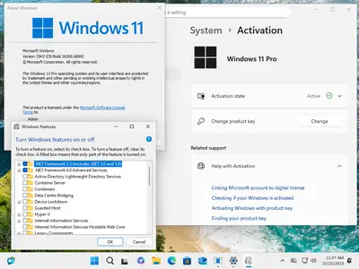 Windows 11 Pro 25H2 Build 26200.6899 (No TPM Required) With Office 2024 Pro Plus Multilingual Preactivated October 2025