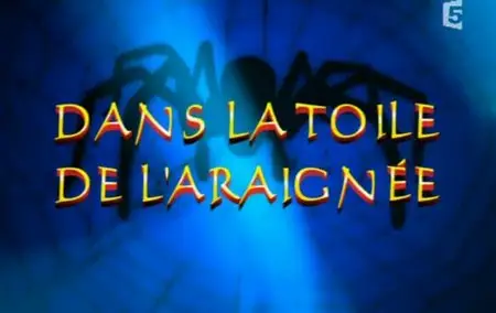 (Fr5) Dans la toile de l'araignée (2011)