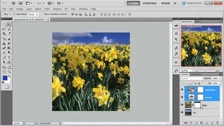 Total Training - Adobe Photoshop CS5 Extended: Essentials [repost]