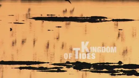 Water Life: Episode 15 - Kingdom of Tides / Mundos de agua / Водная жизнь. Серия 15 - Царство приливов (2008)