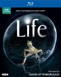 BBC Life (TV) (2009) The Complete Series