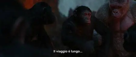 The War - Il pianeta delle scimmie (2017)