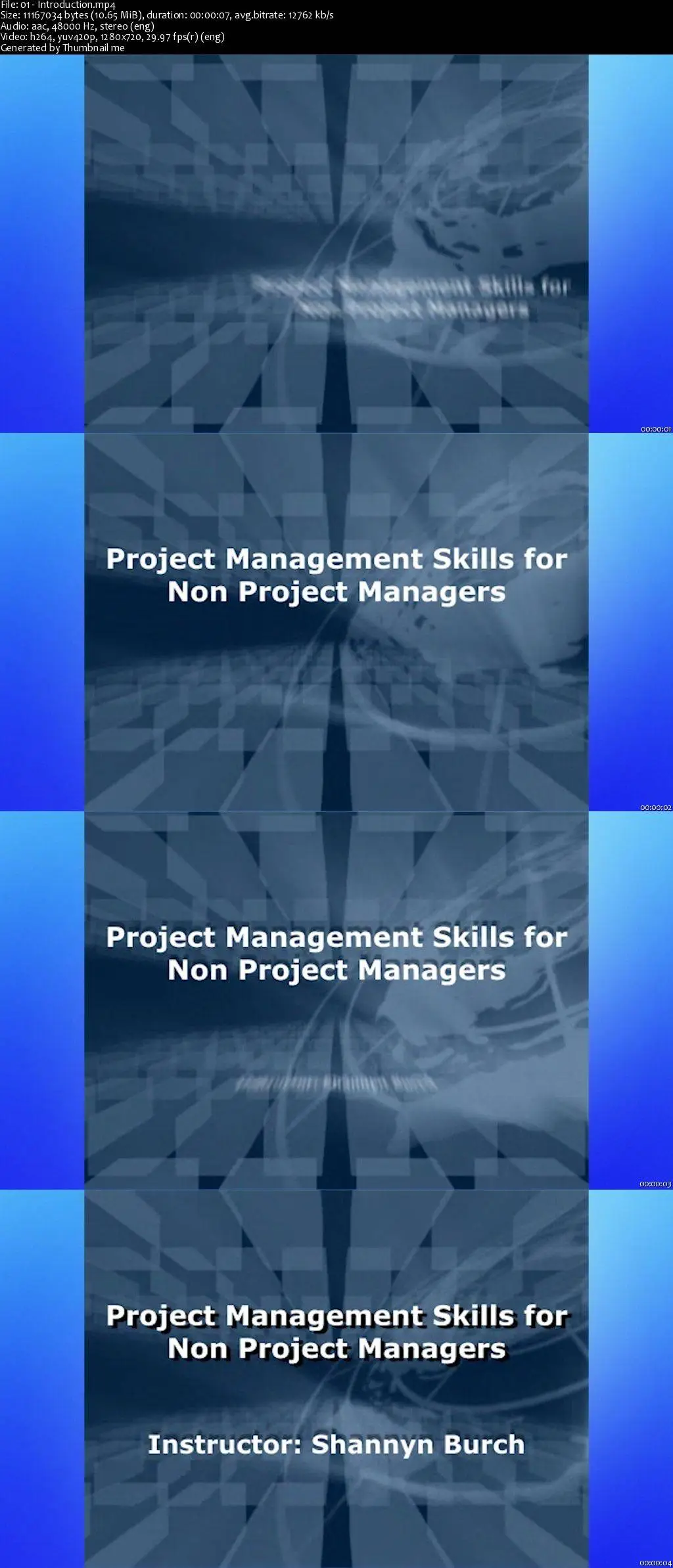 project-management-skills-for-non-project-managers-avaxhome