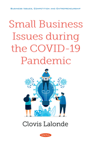 Small Business Issues During the COVID-19 Pandemic