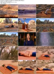 Rodney Yee - Relaxation & Breathing for Meditation [repost]