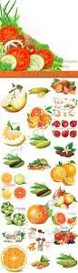 Realistic fresh fruit and vegetables vector